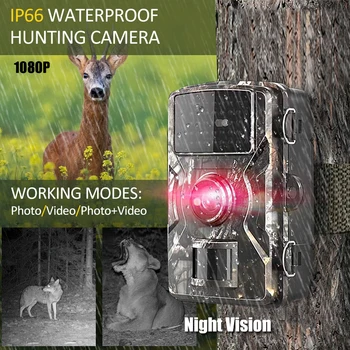 Камера для охоты с разрешением 1080P, инфракрасная камера для разведчика дикой природы, камера ночного видения, датчик движения на открытом воздухе, IP66, водонепроницаемый, промежуток времени