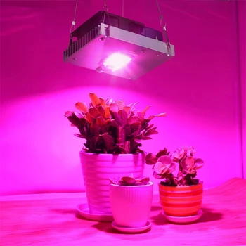 Светодиодный светильник для выращивания растений полного спектра 100 Вт 3000 К 3500 К 5000 К световой эффективности для внутреннего гидропонного освещения для выращивания растений в теплице